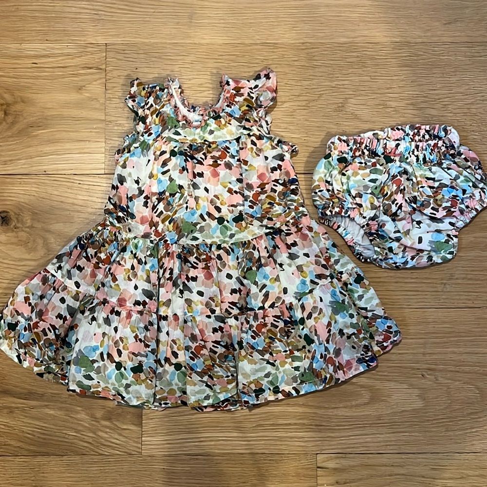 Pink Chicken Girls 18/24 dress and bloomer